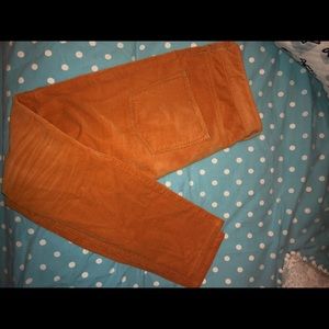 Anthropologie Pilcro and the Letterpress Pants